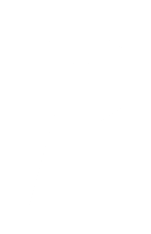 Privaseer Logo